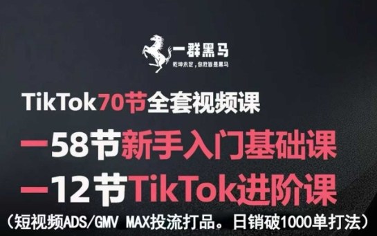 TikTok全套视频课，新手入门+进阶课，短视频ADS-GMV MAX投流打品，日销破1000单打法-锋越云网创