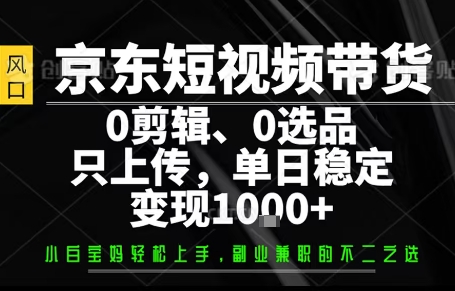 你出账号，我来运营，保底日入1k+，开启躺賺模式【揭秘】-锋越云网创